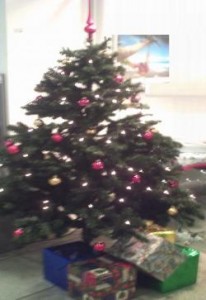 thumb_uc_42792_w250_Simbolbild_Christbaum Archivfoto Christbaum