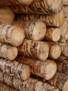 Holzwirtschaft vor Herausforderungen Holzwirtschaft vor Herausforderungen