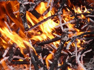 Waldbrand