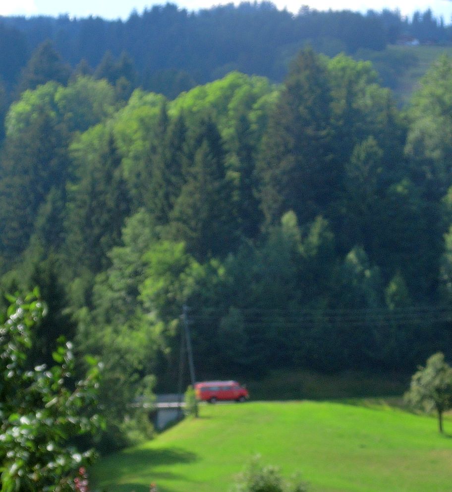 Fotos Feuerwehreinsatz am Heinzenberg im Domleschg: Domleschg24.ch