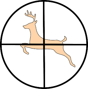 Zusammenfassend ergeben sich folgende Schlüsse: Bei einer Annahme der Sonderjagdinitiative könnten die Abschußpläne beim Hirsch- und Rehwild weder quantitativ (anzahlmäßig) noch qualitativ (natürliche und artgerechte Alters- und Geschlechterstruktur) erfüllt werden. Zusammenfassend ergeben sich folgende Schlüsse: Bei einer Annahme der Sonderjagdinitiative könnten die Abschußpläne beim Hirsch- und Rehwild weder quantitativ (anzahlmäßig) noch qualitativ (natürliche und artgerechte Alters- und Geschlechterstruktur) erfüllt werden.