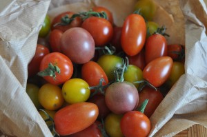 Stadt-Tomaten: 50 verschiedene Sorten gedeihen. (Symbolbild)