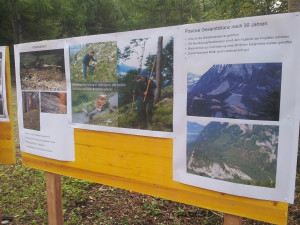 Dokumentation des ganzen Waldbrandes und Bild nach Brand und heute.