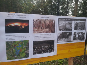 Dokumentation des ganzen Waldbrandes und den Helfern.