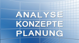Im Januar 2014 erteilte die Regierung den Auftrag, die Grundstücksbewertung des Amts für Schätzungswesen (ASW) und den Versicherungsbereich der Gebäudeversicherung Graubünden (GVG) zu analysieren sowie das Gesamtsystem effizienter und kostengünstiger zu gestalten.(Symbolbild)