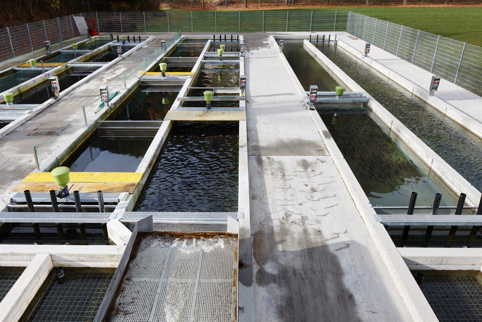 Bewilligung zur Grundwasserentnahme für die kantonale Fischzuchtanlage in Rothenbrunnen