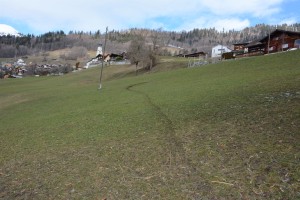 Ausweideort und Schleifspur unterhalb Fanas. (Bild: Kantonspolizei Graubünden)