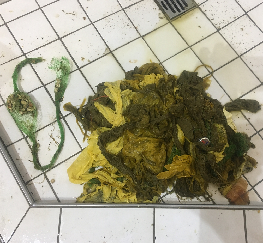Der Hirsch hatte viel Plastik im Magen (Bilder: Amt für Jagd und Fischerei, Kanton Graubünden)