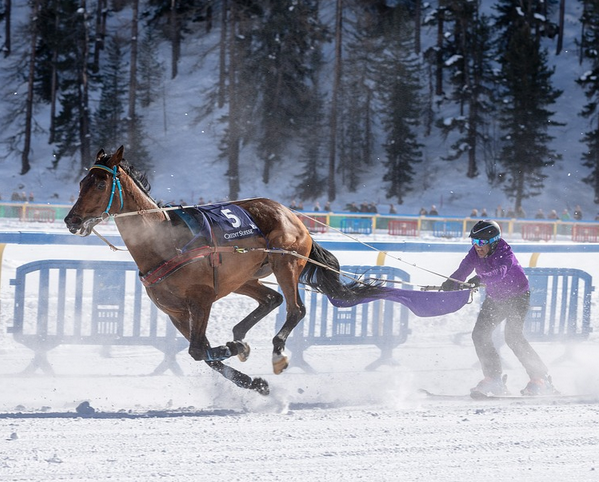 Immobilien-Preise: Engadin/St.Moritz teuerste Ferienregion der gesamten Alpen