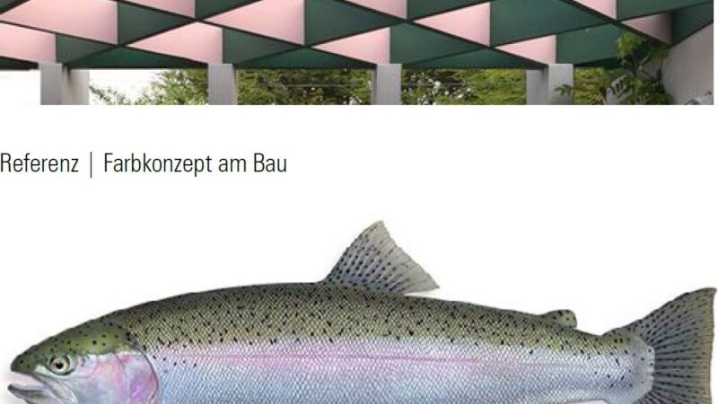 Klosters: Auftrag für neue Fischzuchtanlage geht an Hagmann, Jüngling Architekten