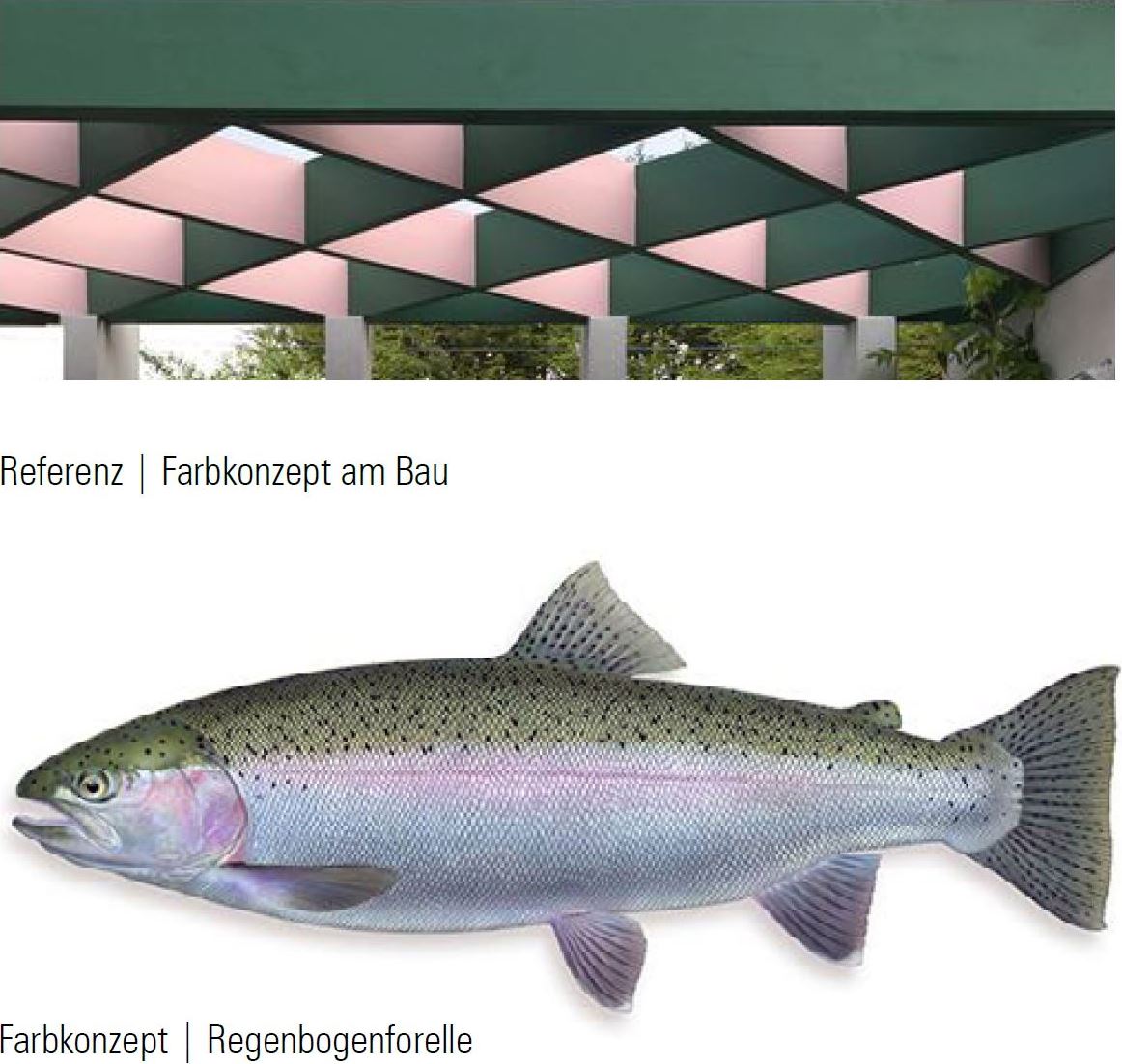 Klosters: Auftrag für neue Fischzuchtanlage geht an Hagmann, Jüngling Architekten