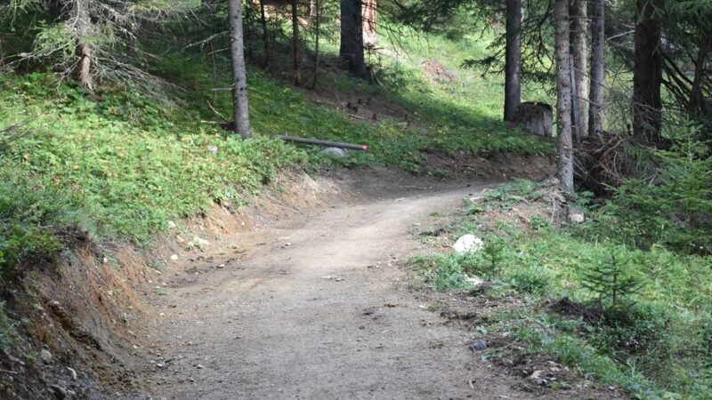 Engadin: Jäger verwechselt Isländer-Pferd mit Reh-Bock