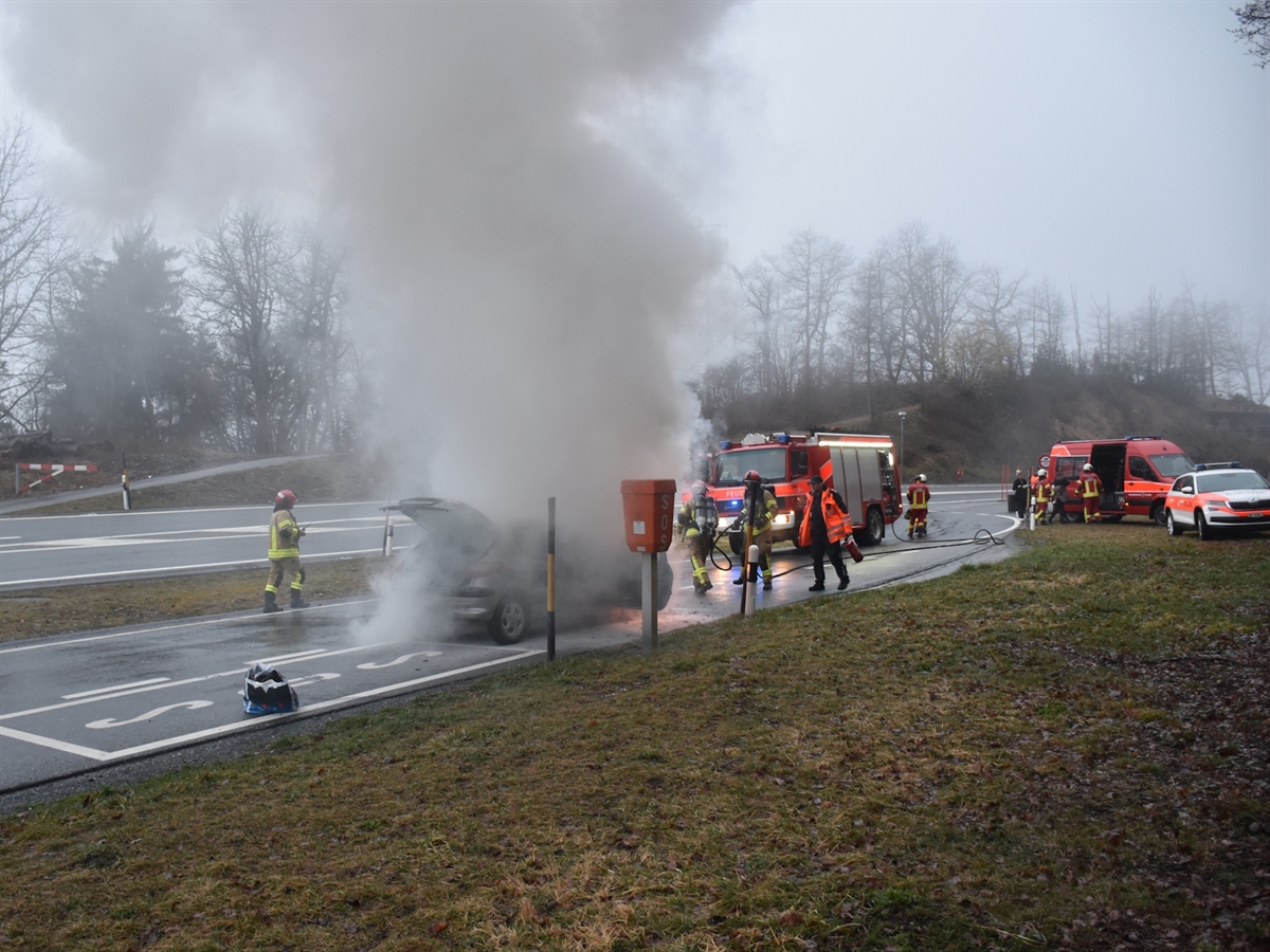 Fahrzeugbrand in Trin