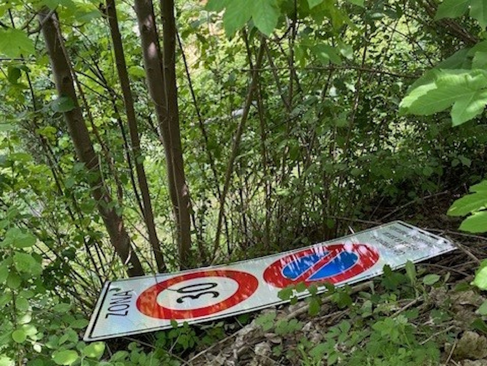 Surselva: Mehrere zehntausend Franken Schaden in Ilanz – Unfug und Sachbeschädigungen – Zeugenaufruf