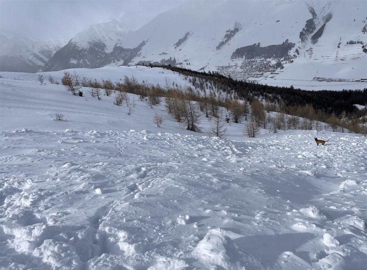 Zuoz: Ski auf Lawinenfeld löst Suchaktion aus