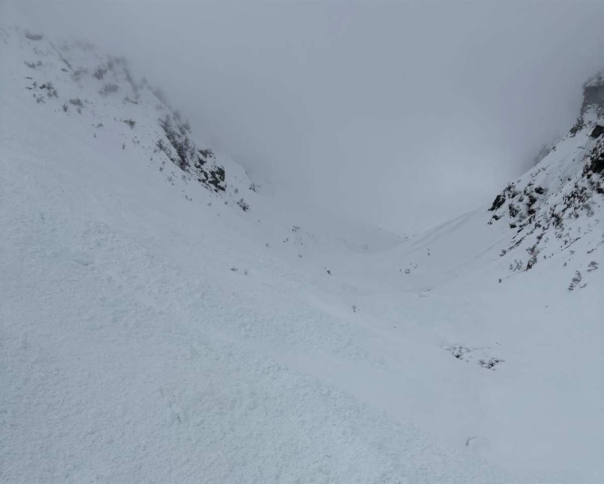 Hinterrhein: Skitourengruppe von Lawine erfaßt