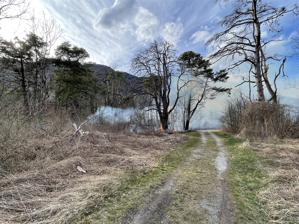 Zizers: Waldbrand löst größeren Feuerwehreinsatz aus – Raucher Verursacher?