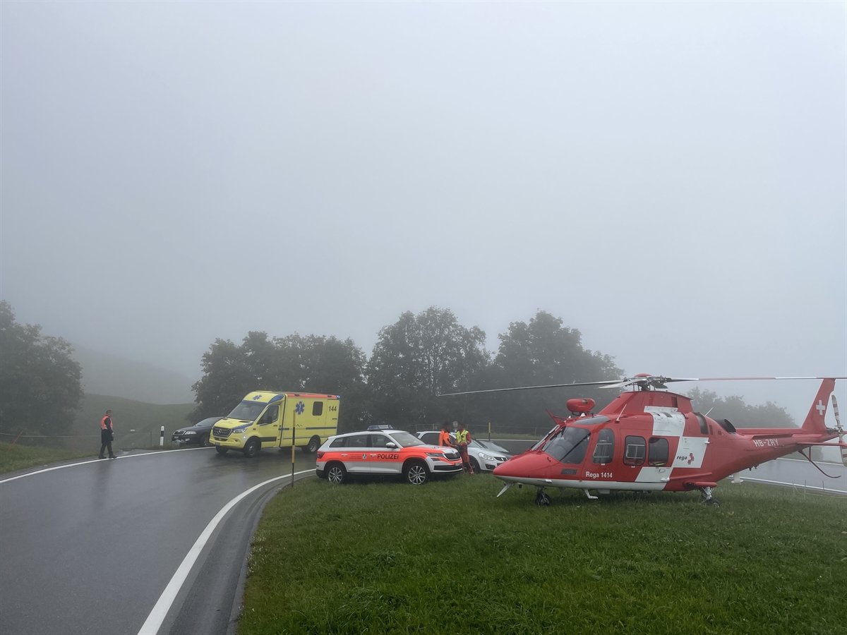 Muni-Angriff in Tschappina: Stier-Attacke sorgt für Rega-Einsatz