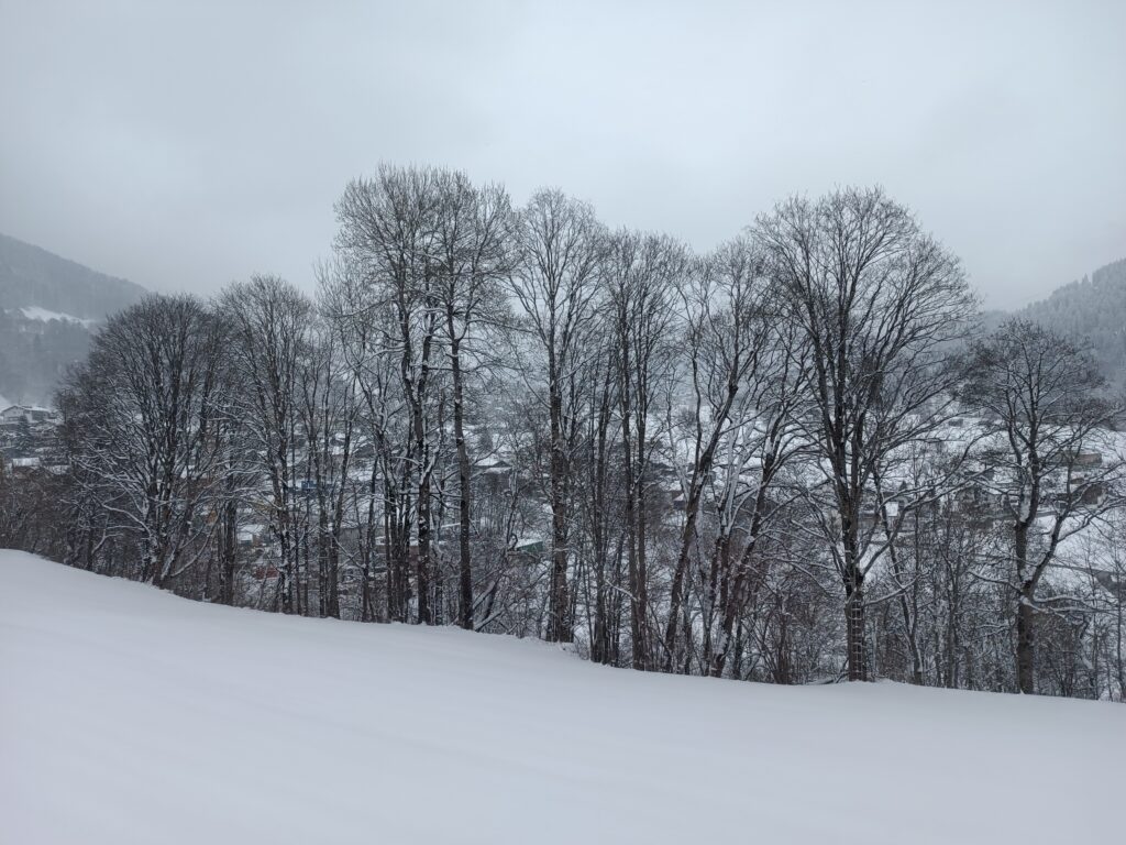 Landschaft Klosters.