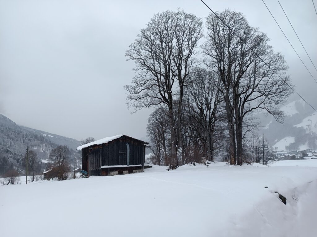 Landschaft Klosters.