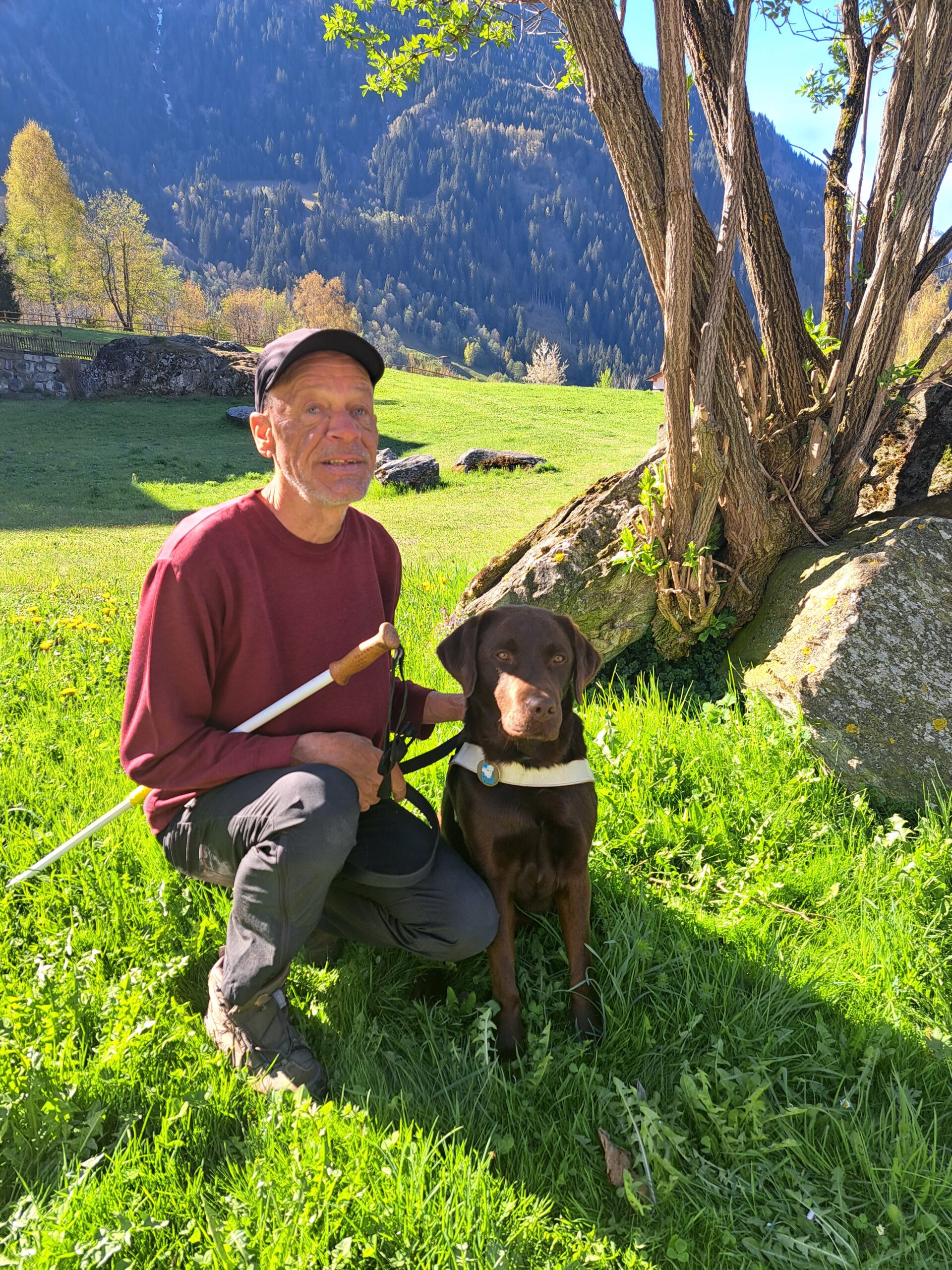 Sicher über Stock und Stein
