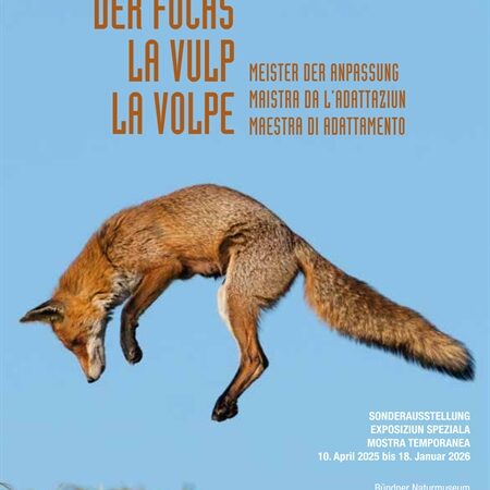 Bündner Naturmuseum bringt Ausstellung nach Solothurn