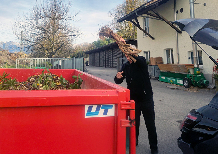 Mehr Leben im Garten: Die Sträuchertauschaktion fördert heimische Pflanzen und die Biodiversität