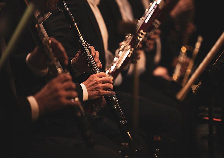 Kammerphilharmonie Graubünden: Klassik erleben