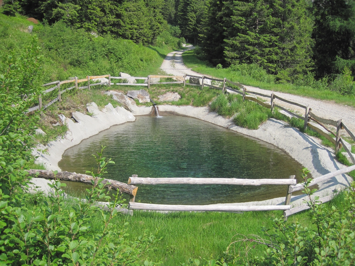 Ausbau einer Waldstraße und Neubau eines Löschwasserteichs in Calanca