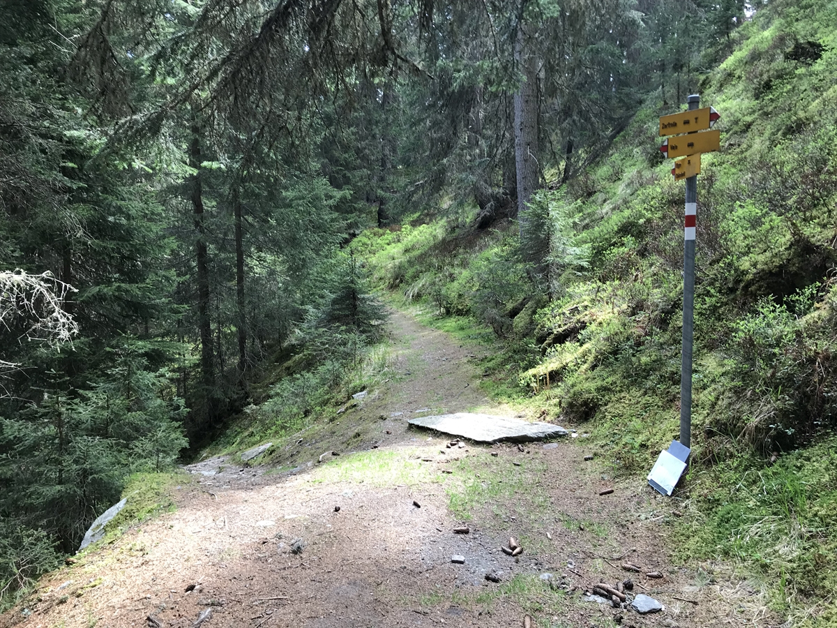 Kantonsbeitrag für Sicherstellung der Schutzwaldpflege in Vals